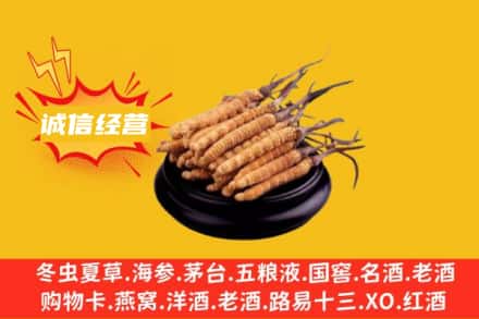 舟山回收冬虫夏草